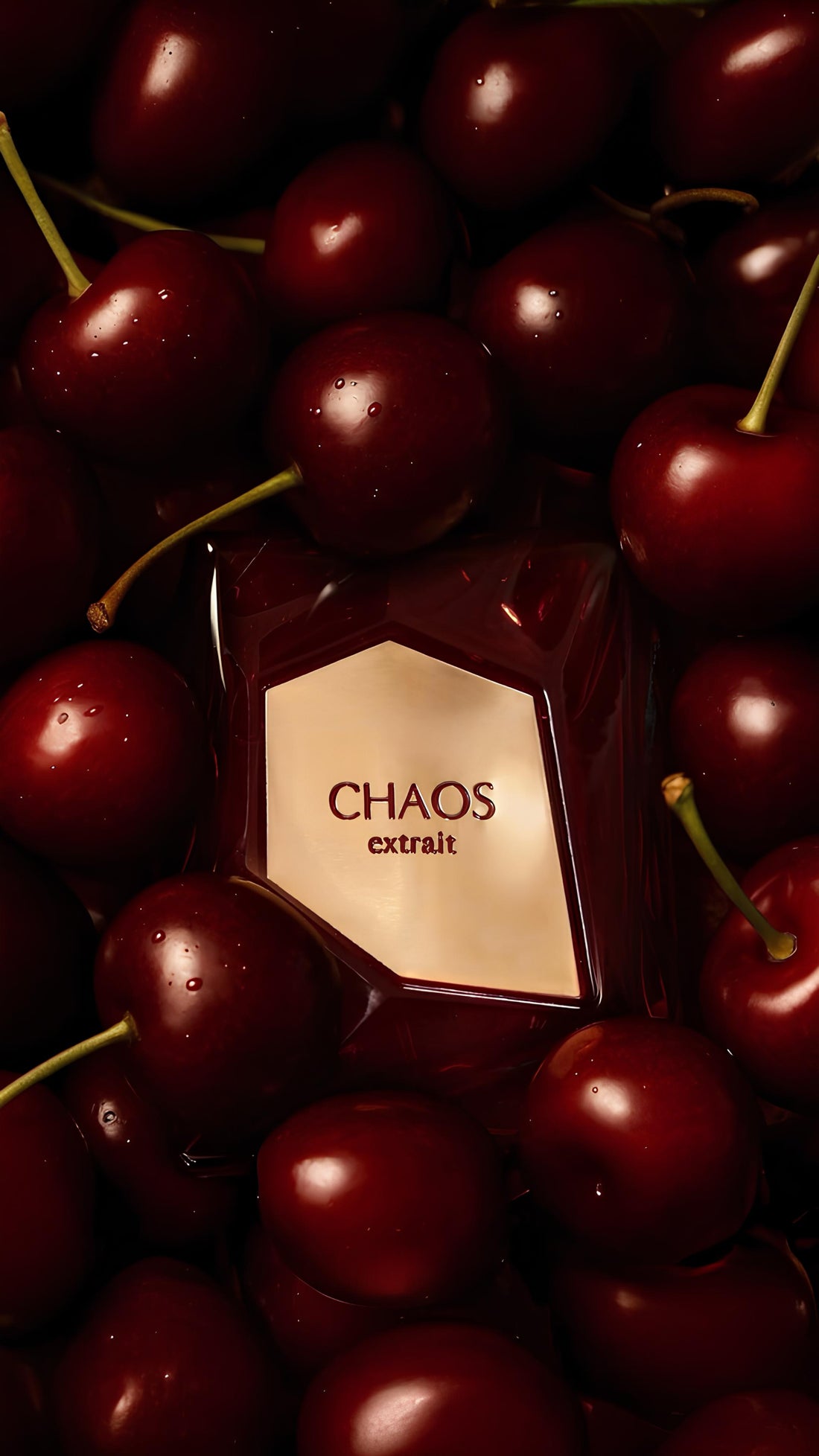 Chaos